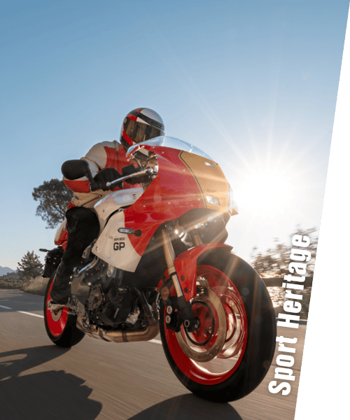 Banner-motorji-homepage